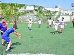 MIS Sports